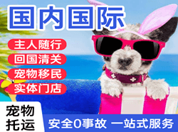日照山字河航空空运国际宠物托运 【国